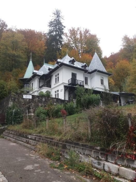 Il Piccolo Castello Buşteni Eksteriør bilde