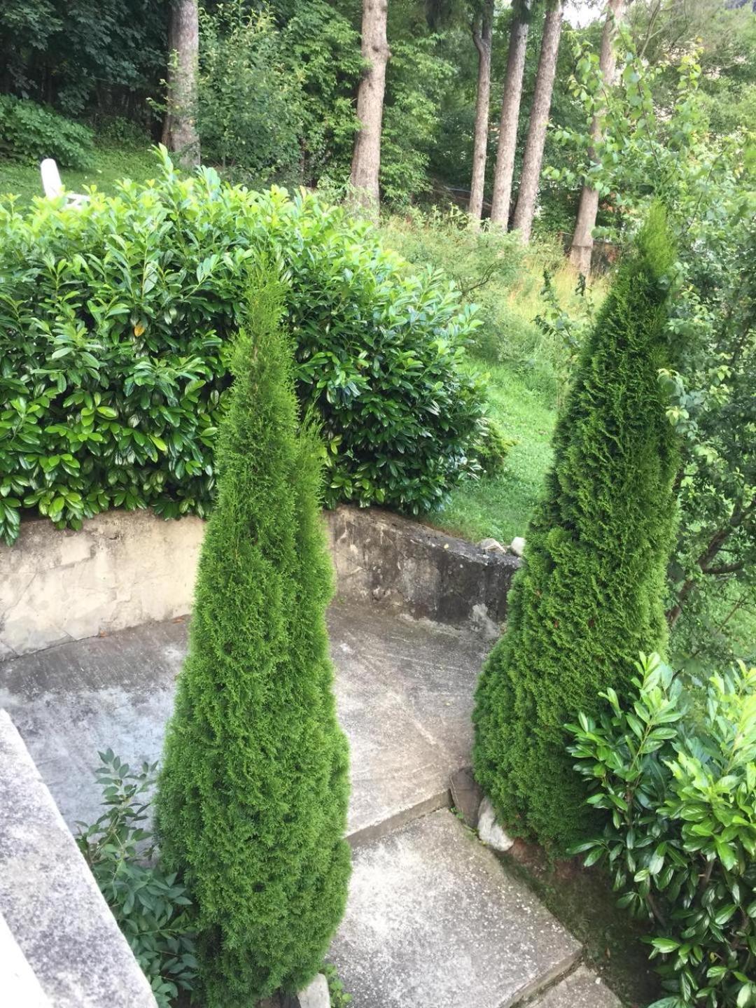 Il Piccolo Castello Buşteni Eksteriør bilde
