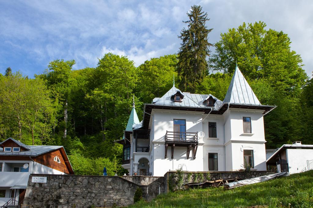 Il Piccolo Castello Buşteni Eksteriør bilde
